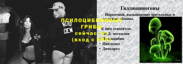 меф Гусь-Хрустальный