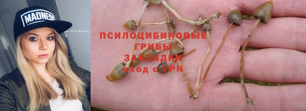 меф Гусь-Хрустальный