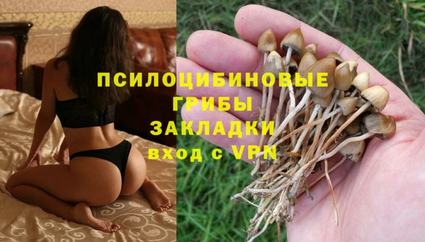 крисы Михайловка