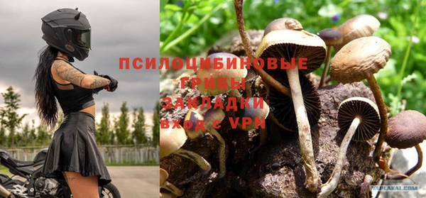 меф Гусь-Хрустальный