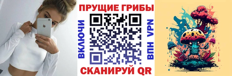 мега сайт  Новосокольники  Псилоцибиновые грибы Psilocybine cubensis 